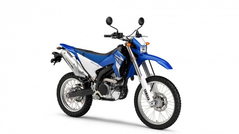 2010 yamaha deals wr250r